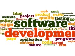 The Software Development Process